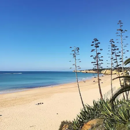 Casa Alice On The Sea Apartment *